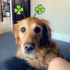 Meet your Posher, Nikki